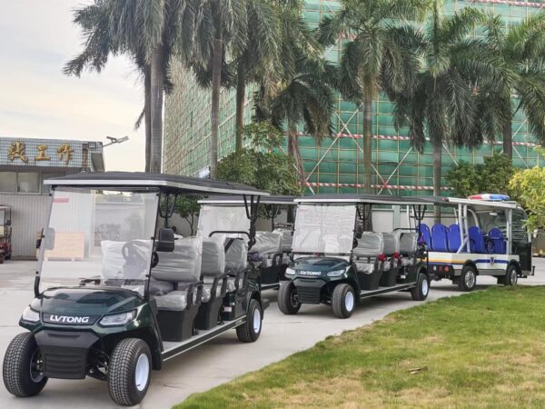 Lvtong 8 Seater Cart 827 Model - Image 3